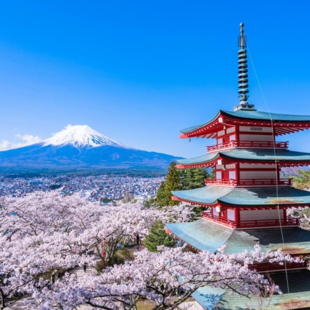 Arakurayama-Sengen-Shrine-Cherry-Blossoms_1200x1200